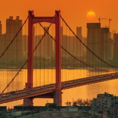 武汉鹦鹉洲大桥_23403