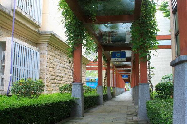 惠州到厦门旅游攻略_行程安排_景点推荐