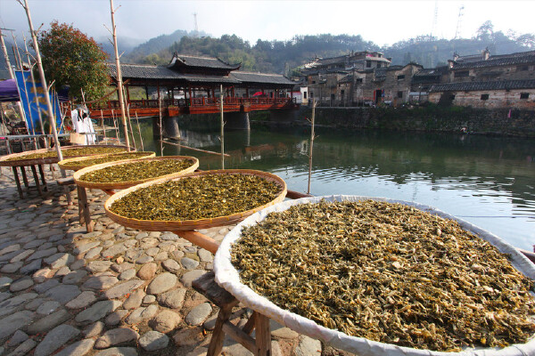 景德镇到海南旅游攻略_行程安排_景点推荐_途