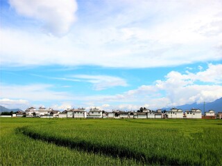 跟團(tuán)云南西雙版納旅游價(jià)格表_云南西雙版納游跟團(tuán)多少錢2021_云南西雙版納旅游價(jià)格