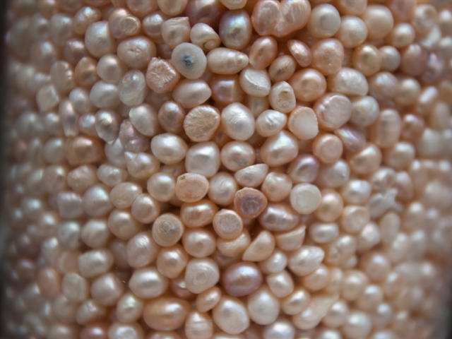 9.16会员日-周边游分会场