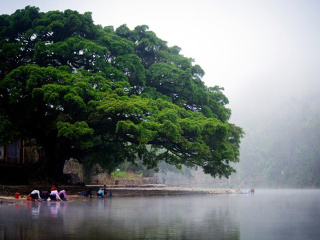 正月廈門游報(bào)價(jià)_10月廈門的旅游路線_廈門旅游多少錢