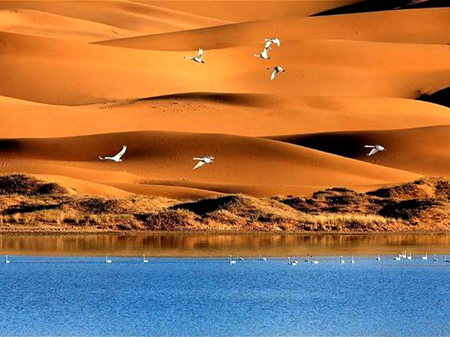          腾格里沙漠月亮湖旅游区