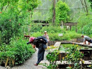 現(xiàn)在去云南西雙版納旅游多少錢_云南西雙版納旅游要多少錢2021_去云南西雙版納旅游要多少錢