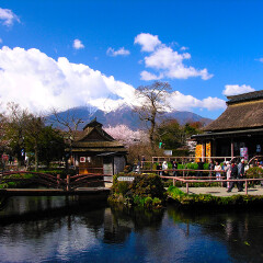 景点模块 