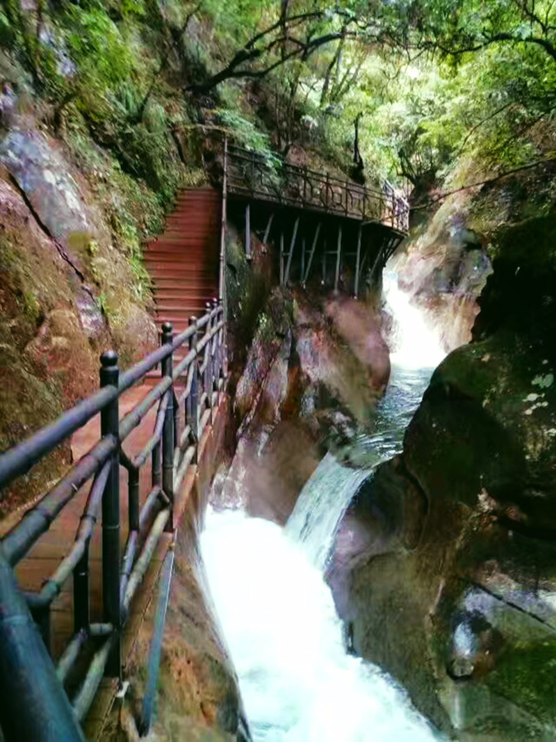 醉山野景区                     谷深水急