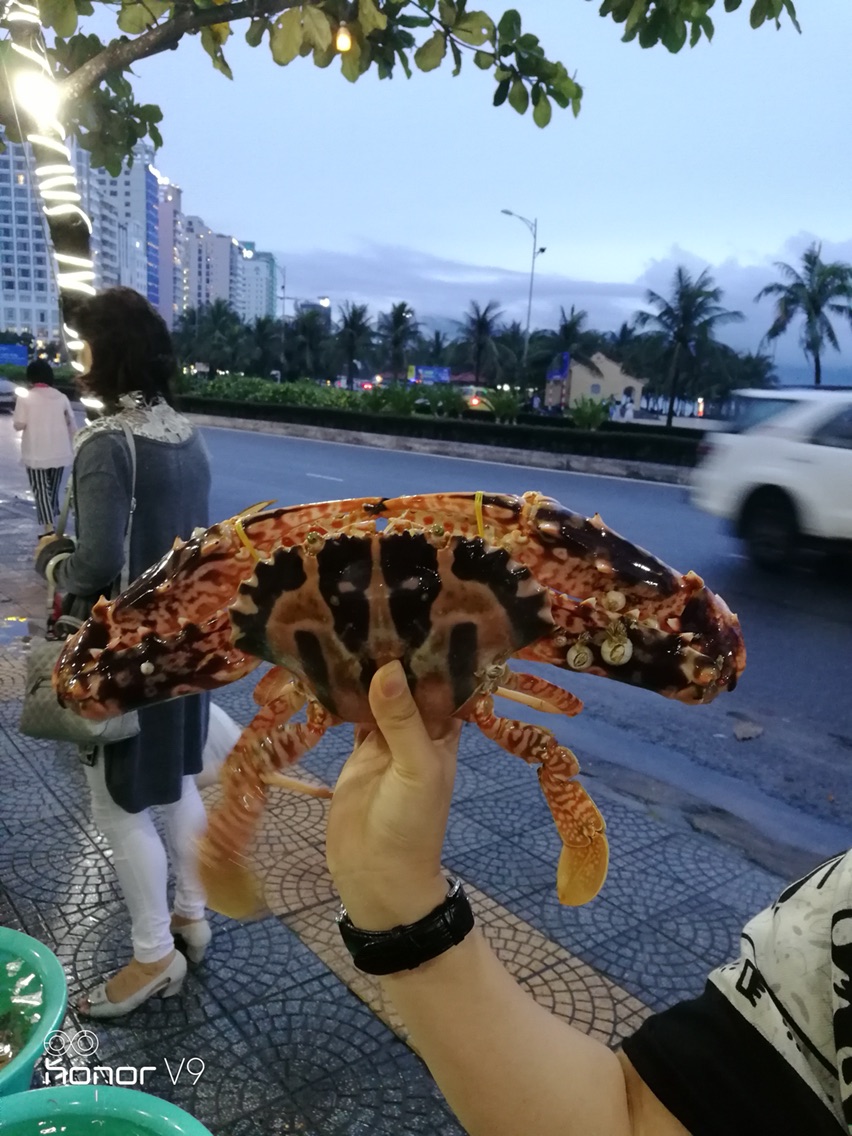 越南岘港-会安4晚5日游 澳门直飞 午去午回 越