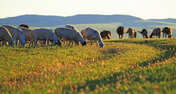 通辽到哈尔滨旅游攻略_行程安排_景点推荐