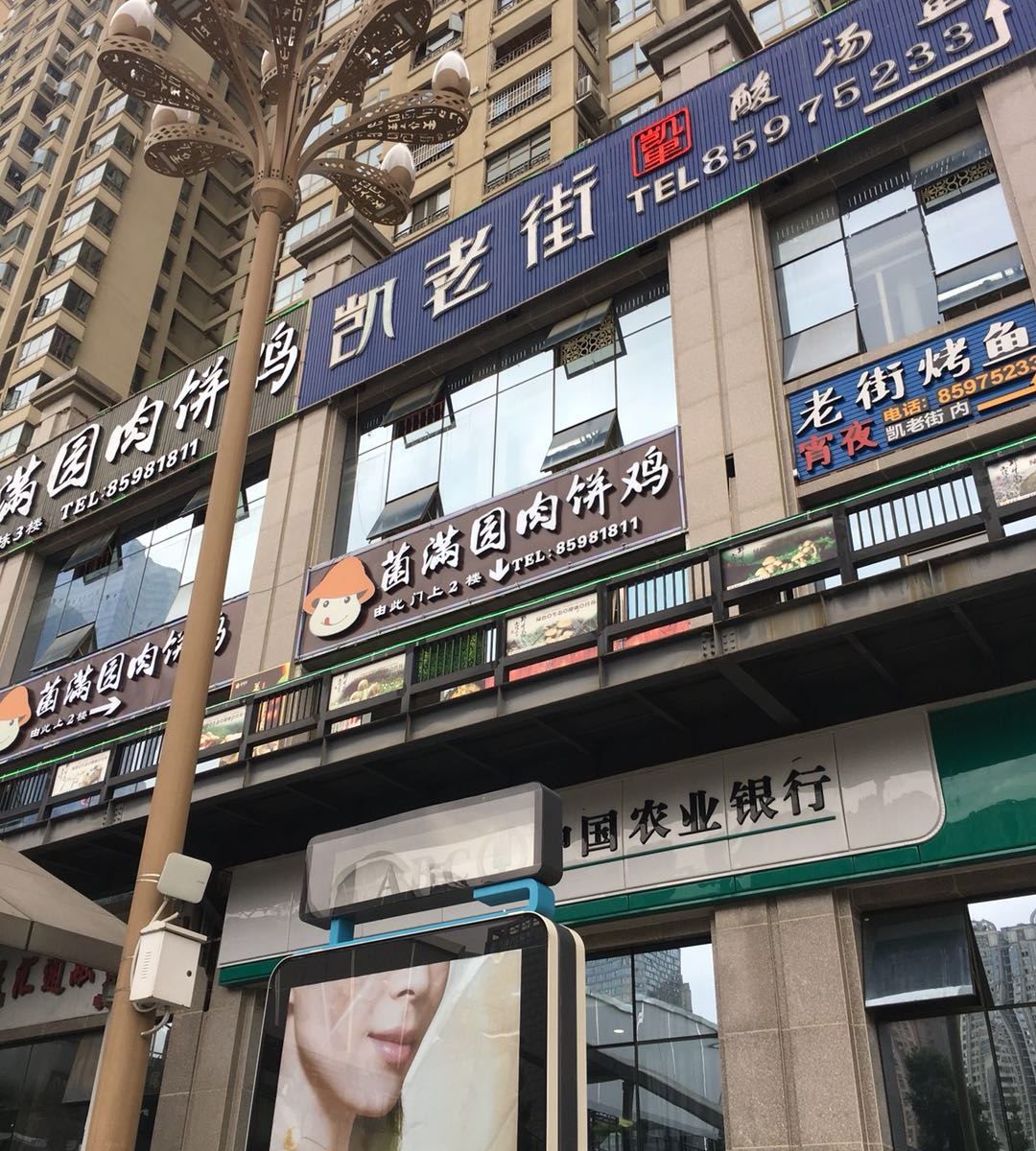 外观