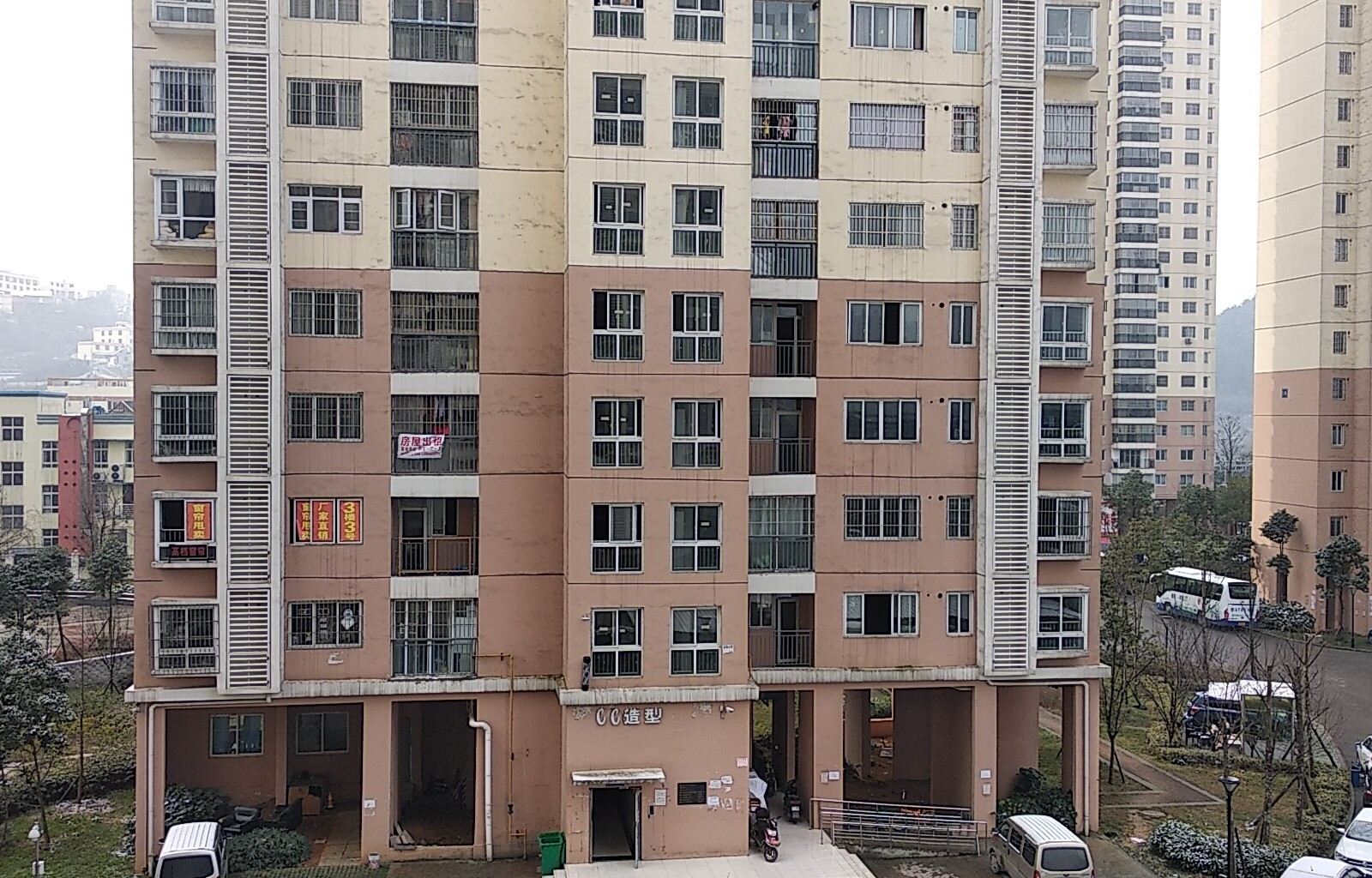 外观