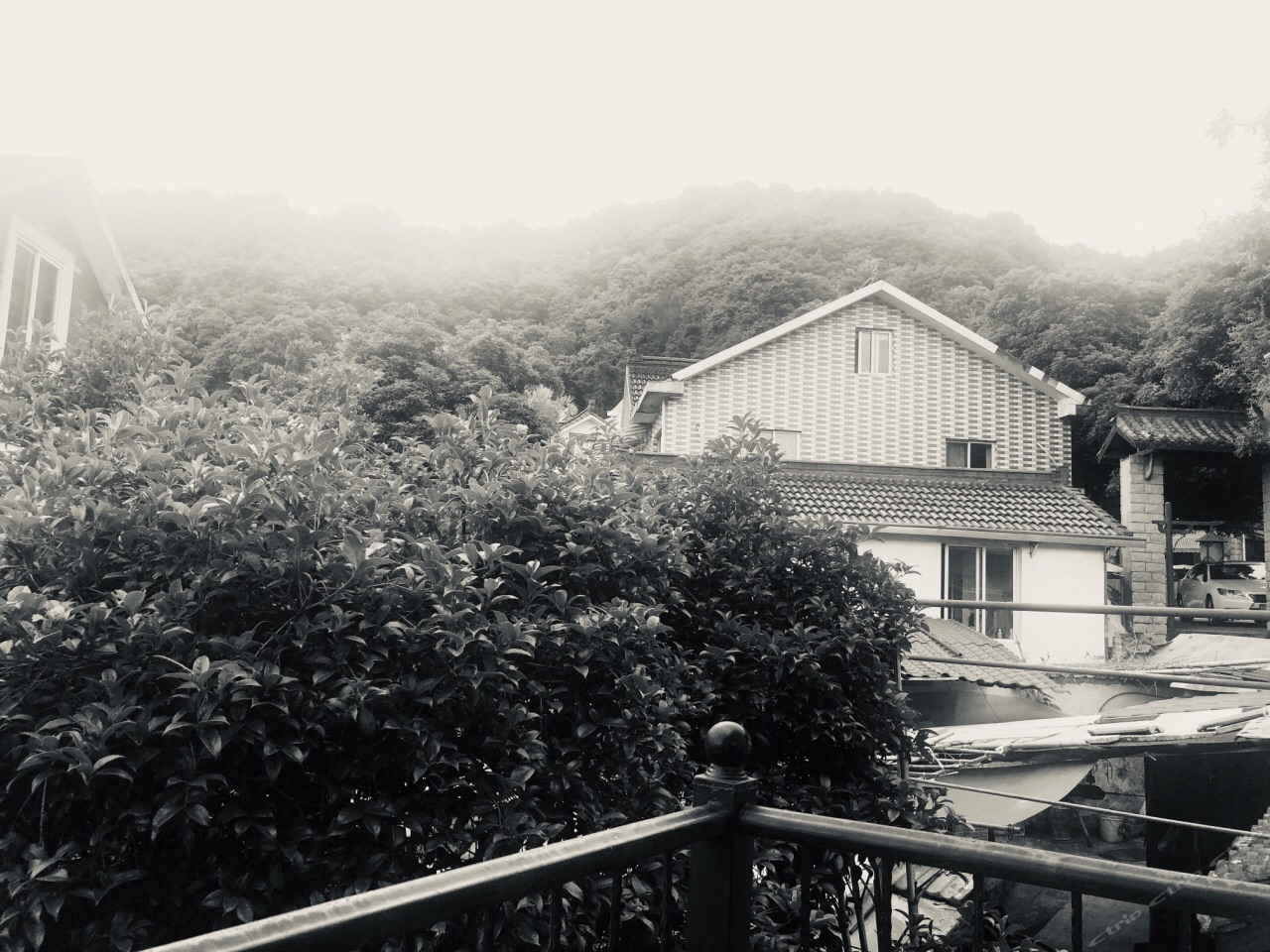 醉流霞
