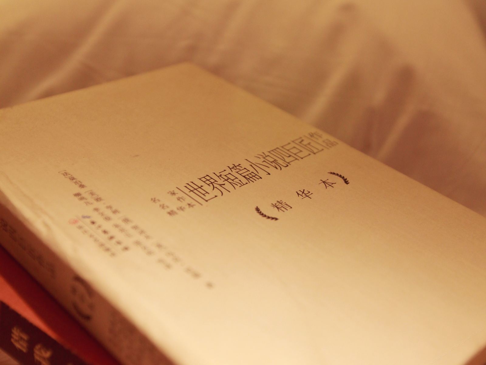 单床房(公共卫浴)