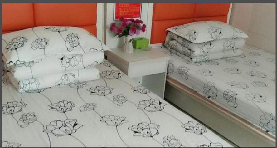 标准双床房