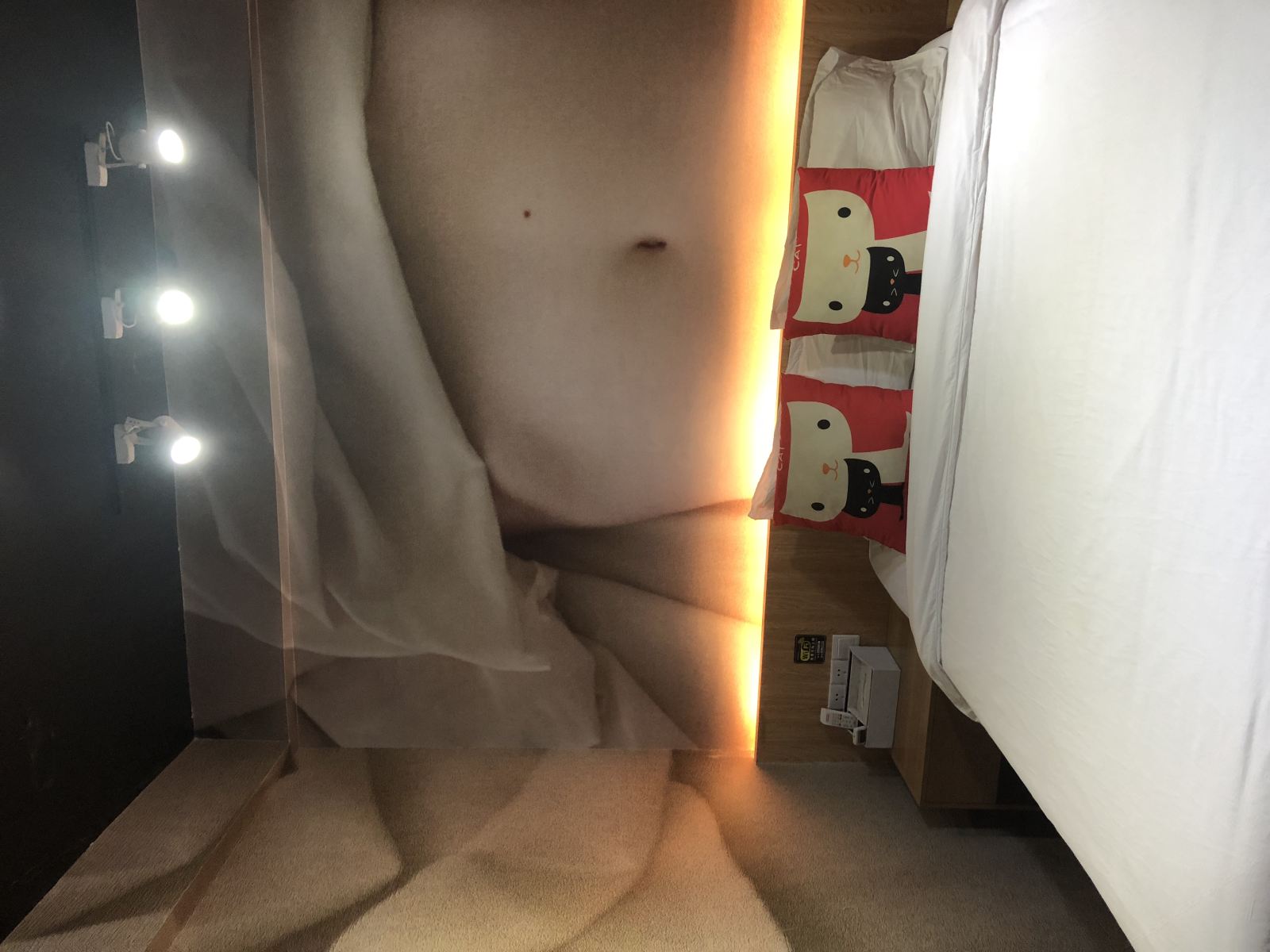 新格调主题房B