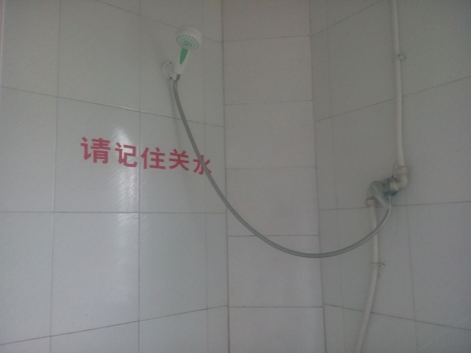 普通双人间