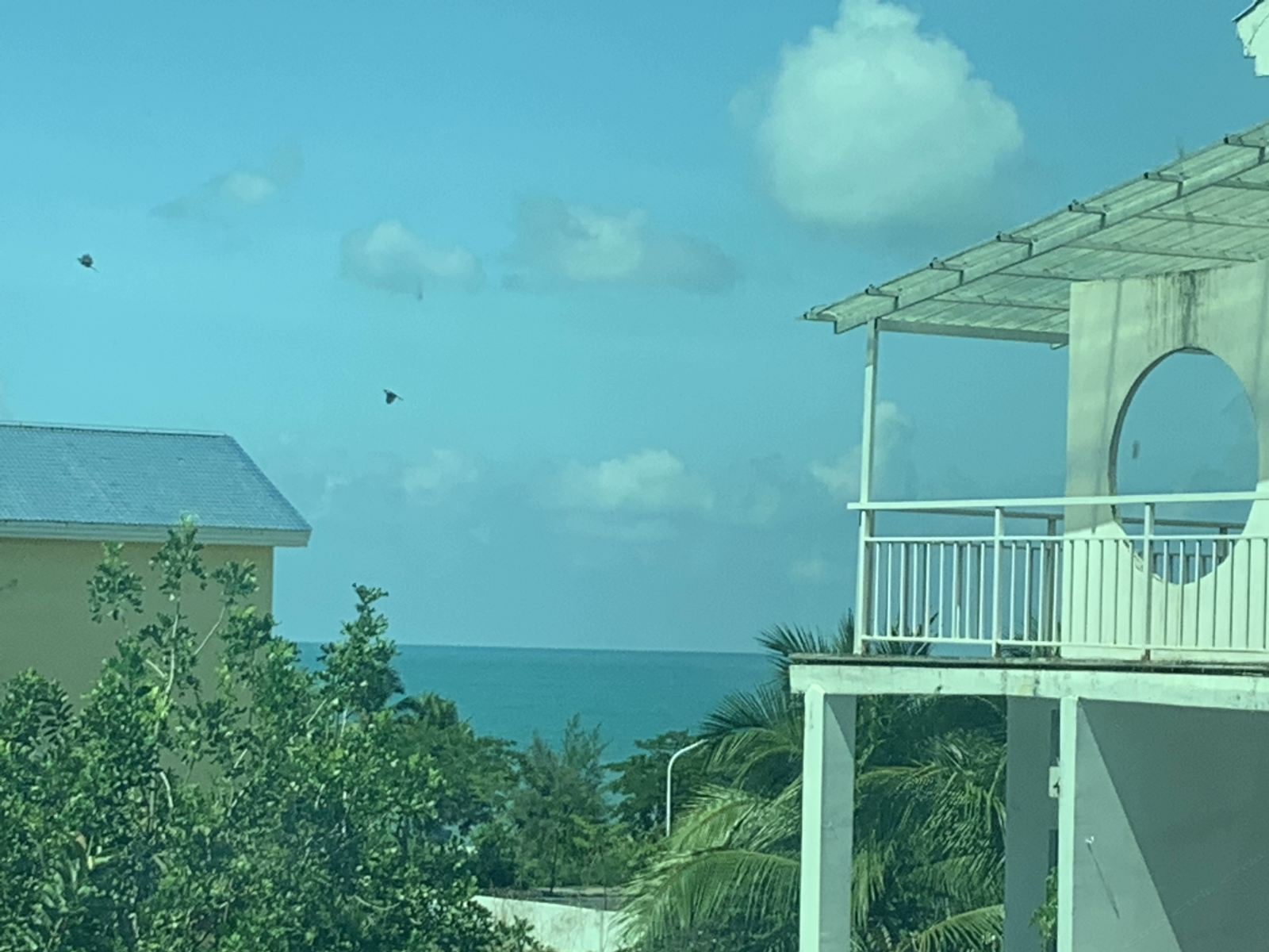 精致海景大床房
