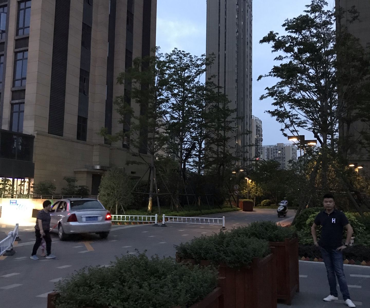 外观
