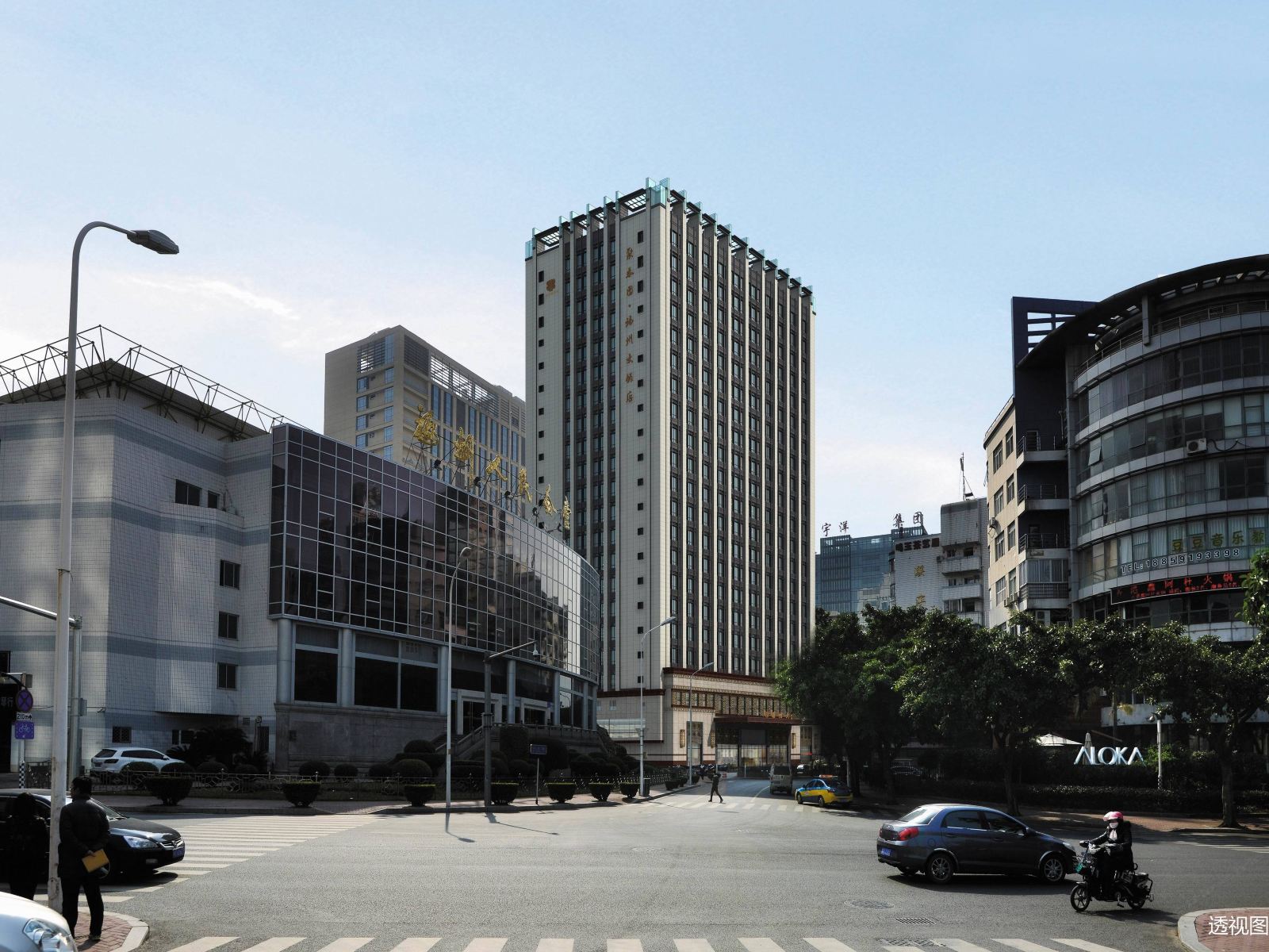 外观