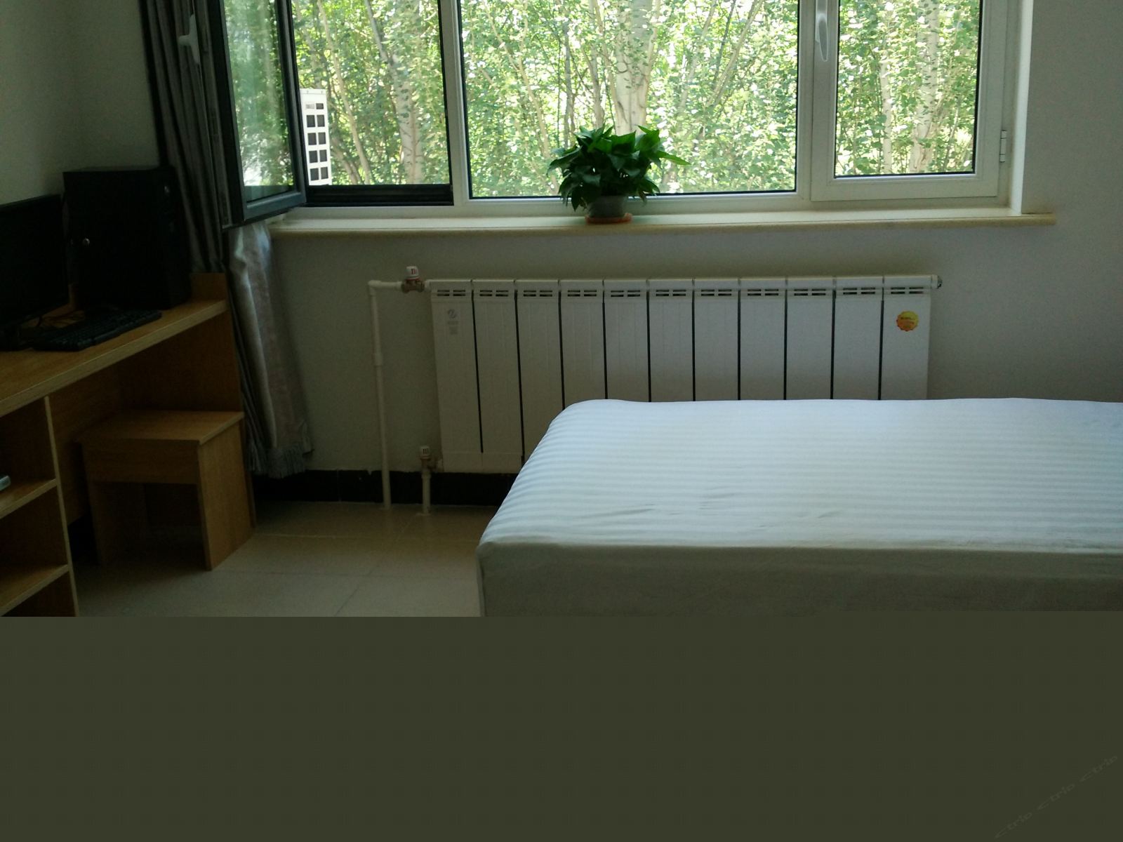 标准大床间