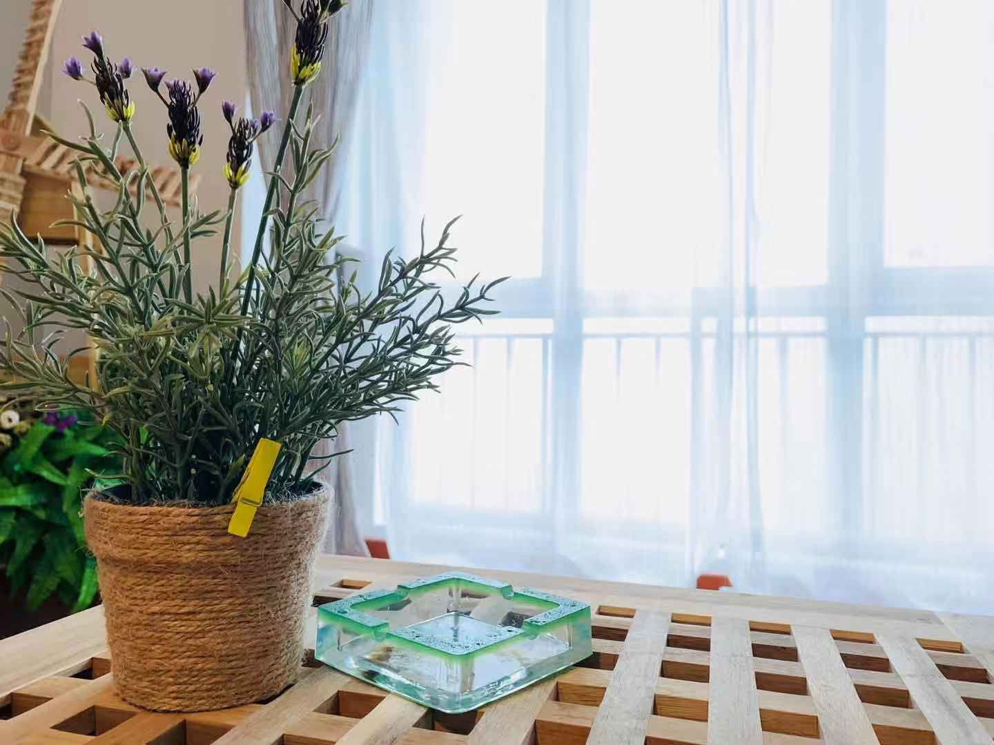 休闲观景投影大床房