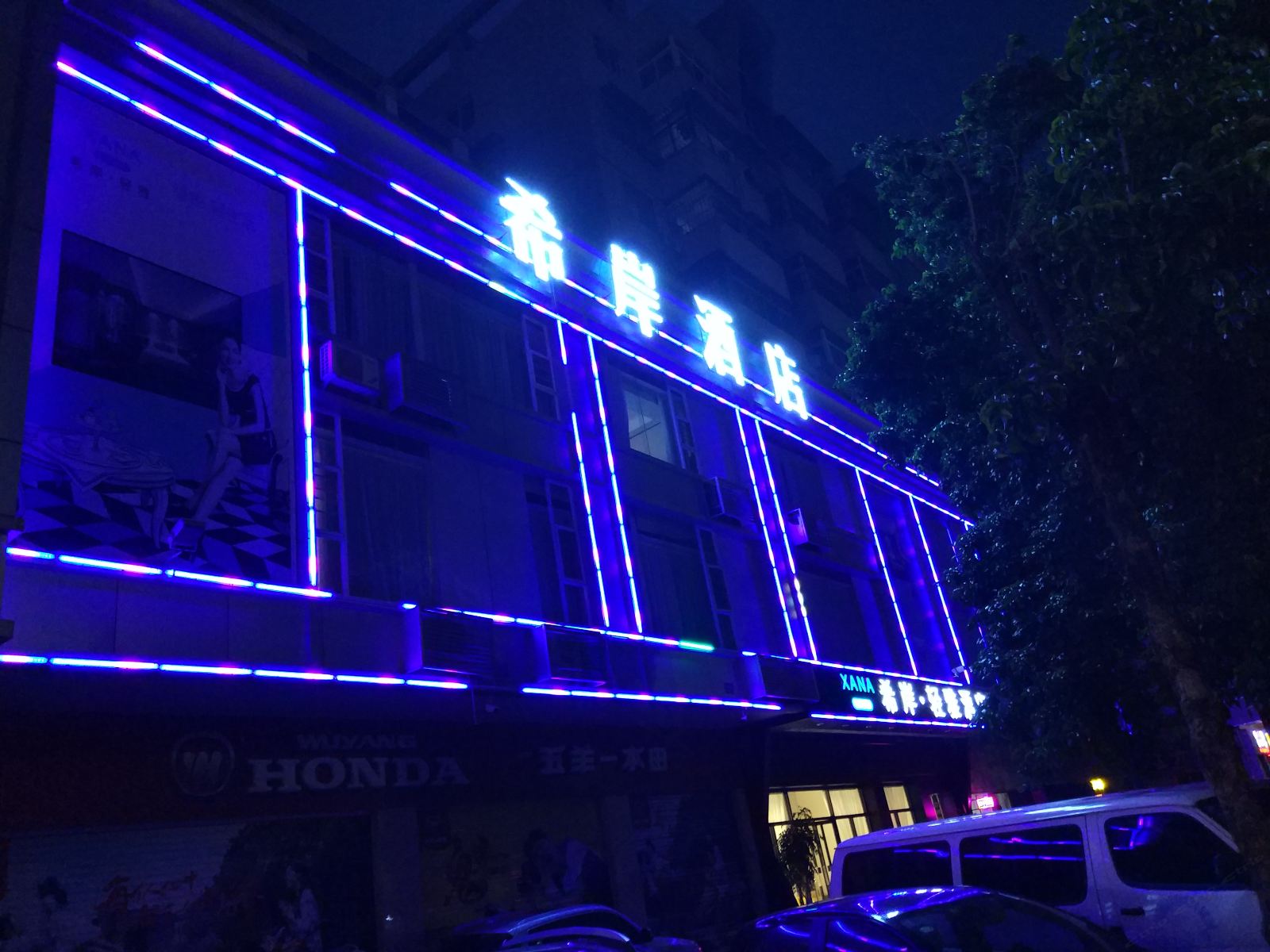 外观