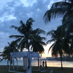 景点模块 