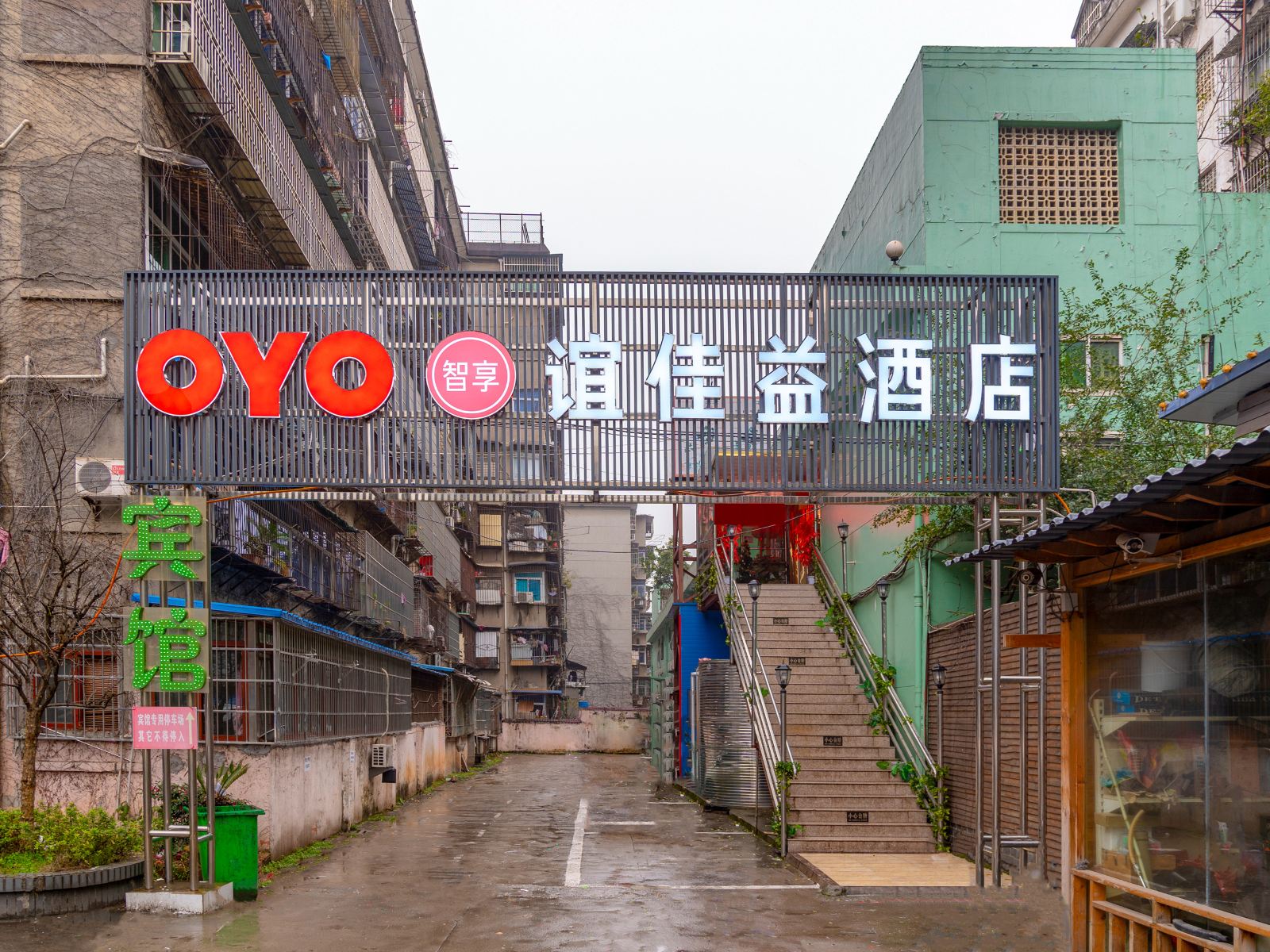 外观
