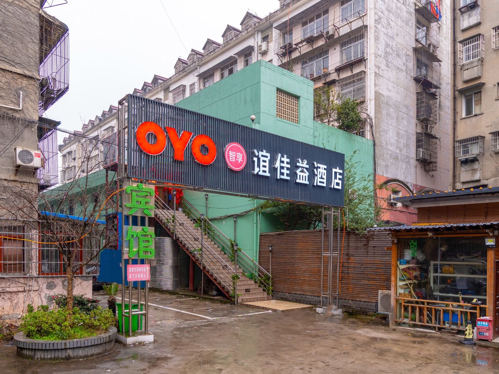 外观