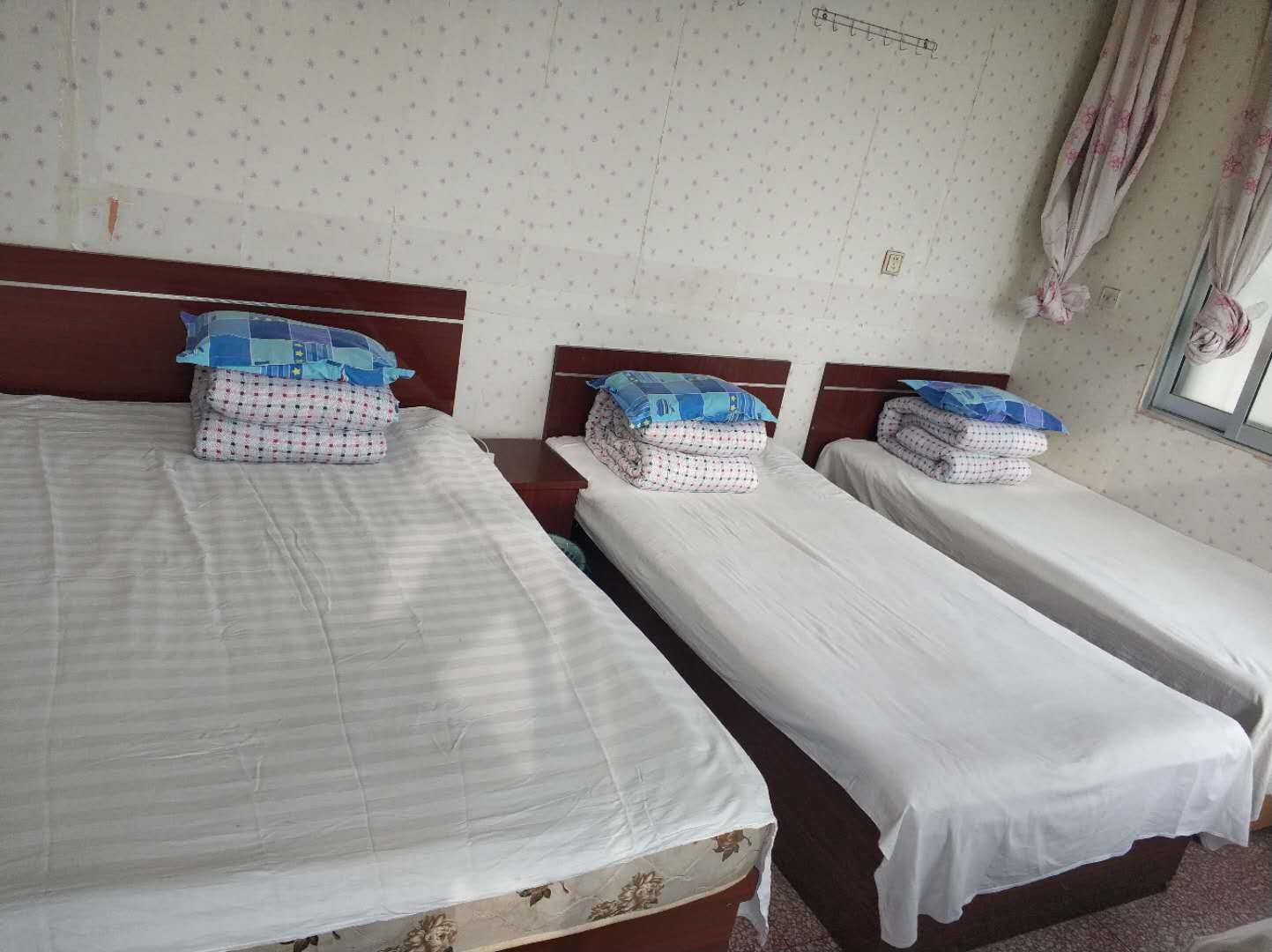 独卫家庭房