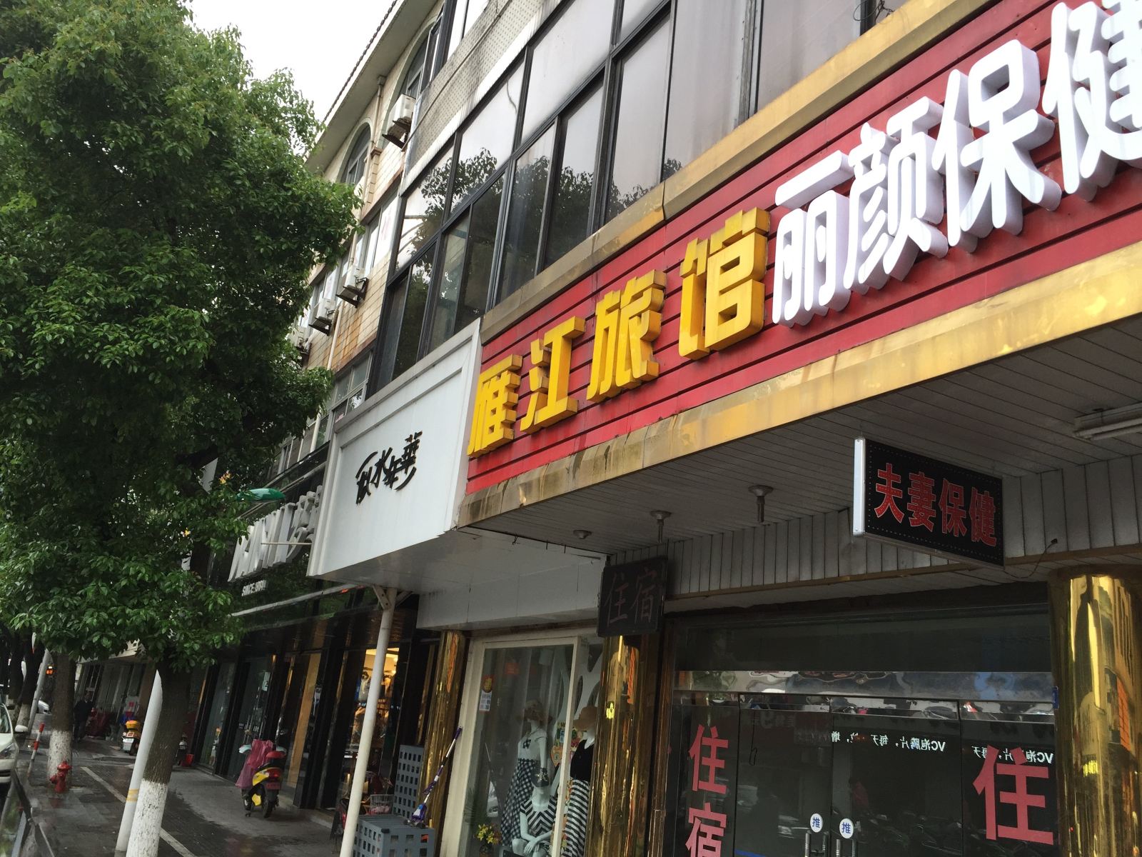 外观
