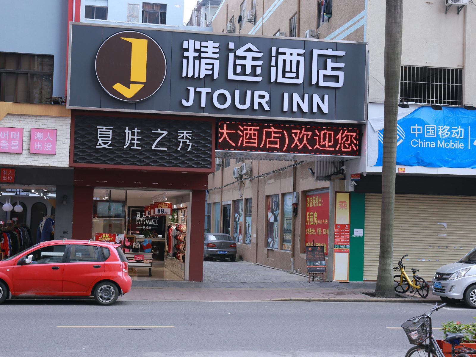 外观