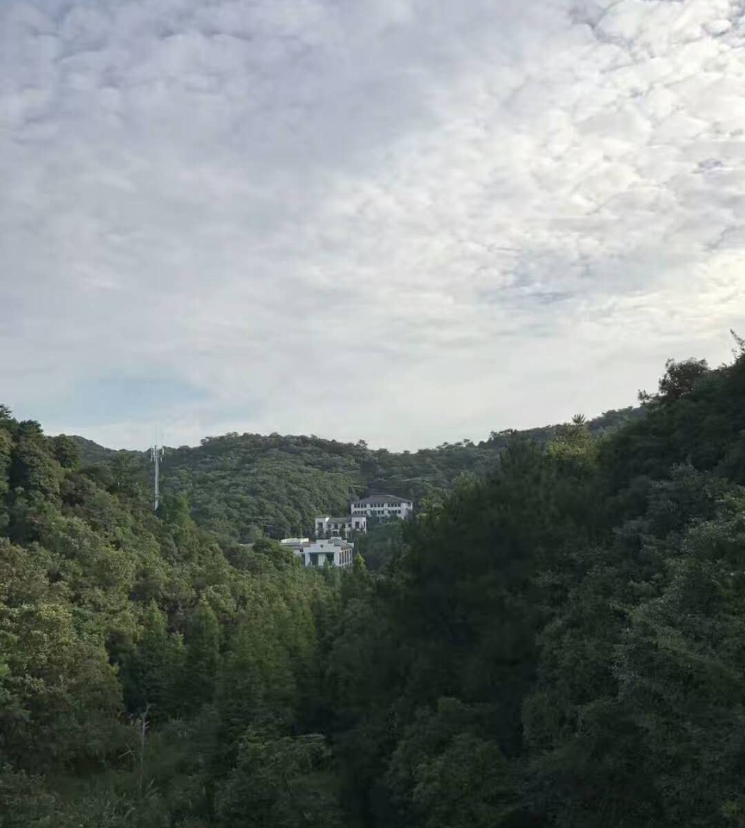 花园独立别墅
