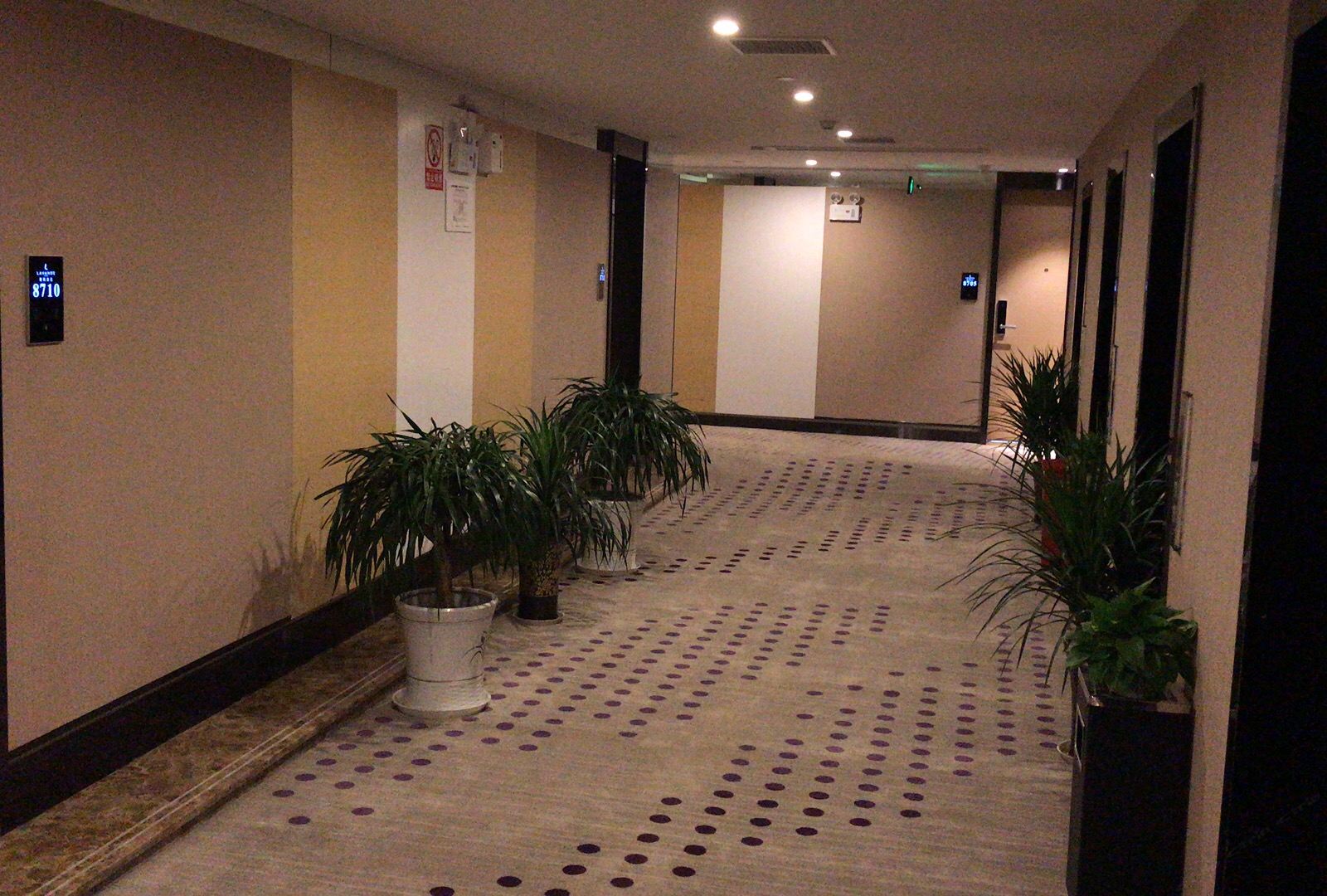 景观双床房
