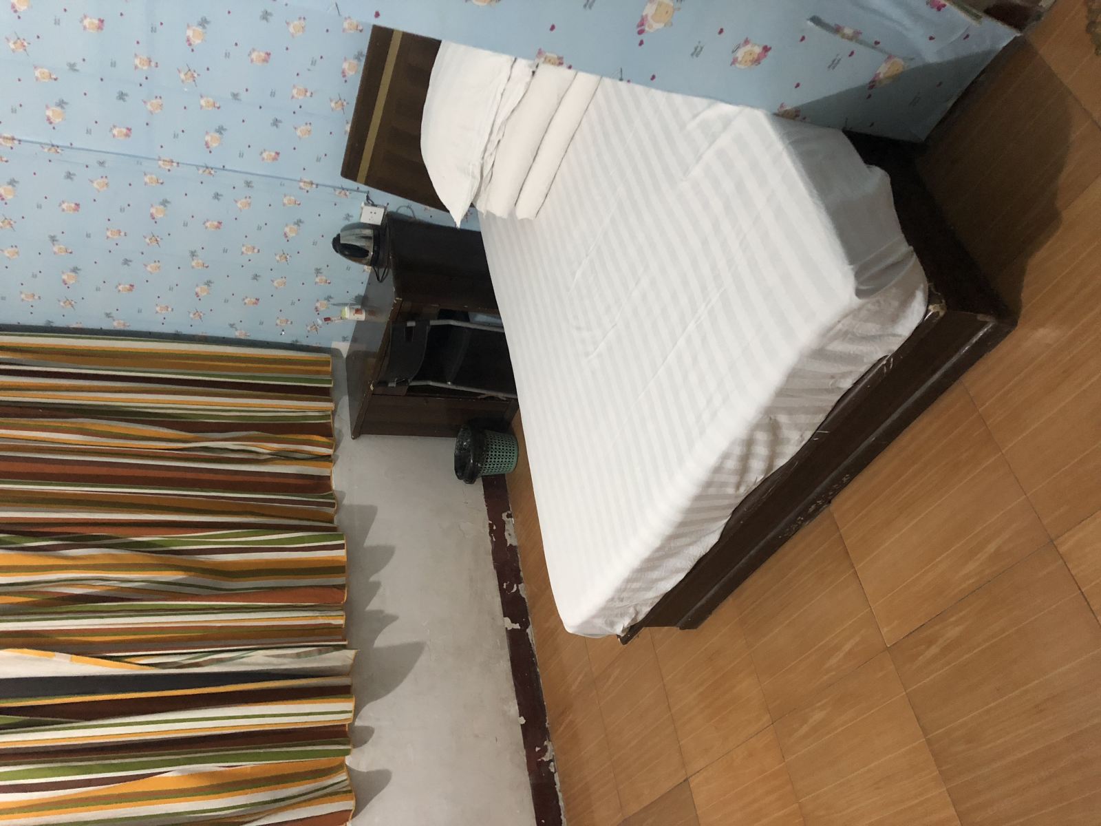 豪华单人间