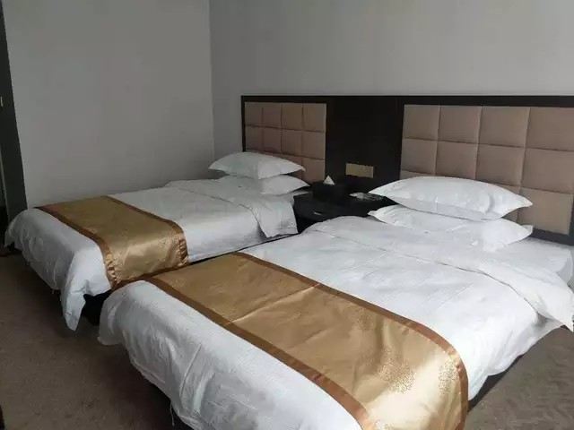 标准双床房