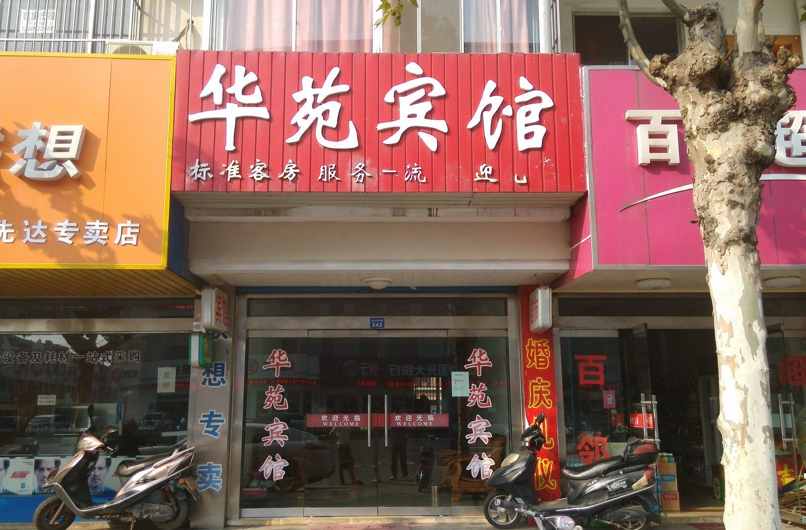 外观