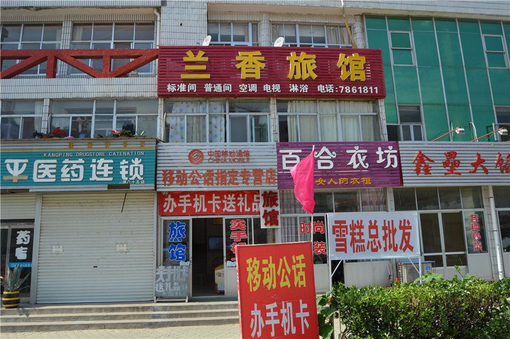 外观