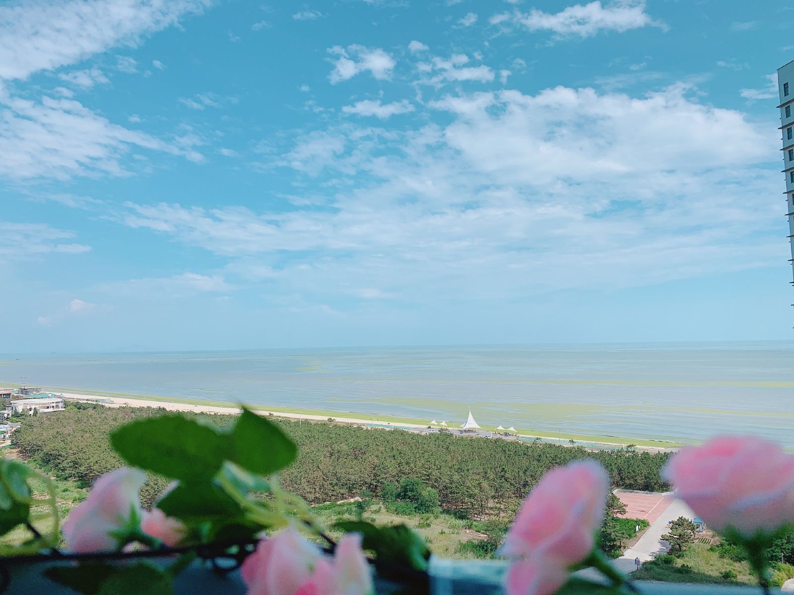 海景三人间