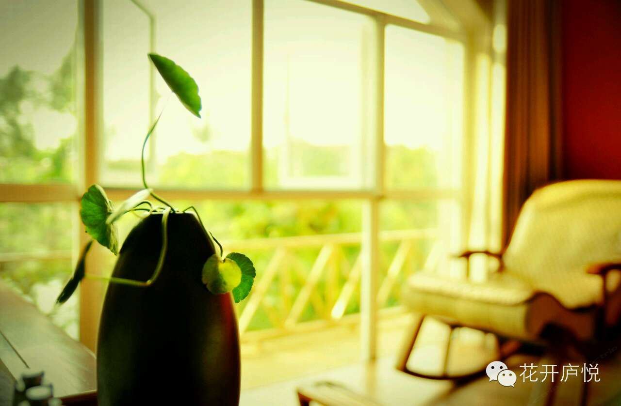 墨陈·新中式湖景大床房