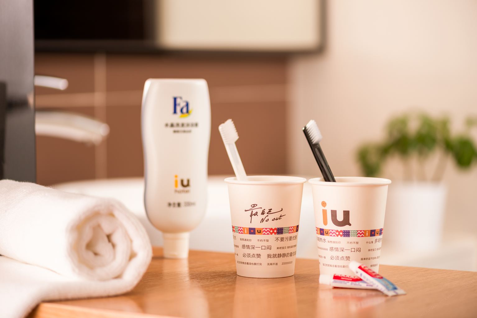 小U·舒适双床房