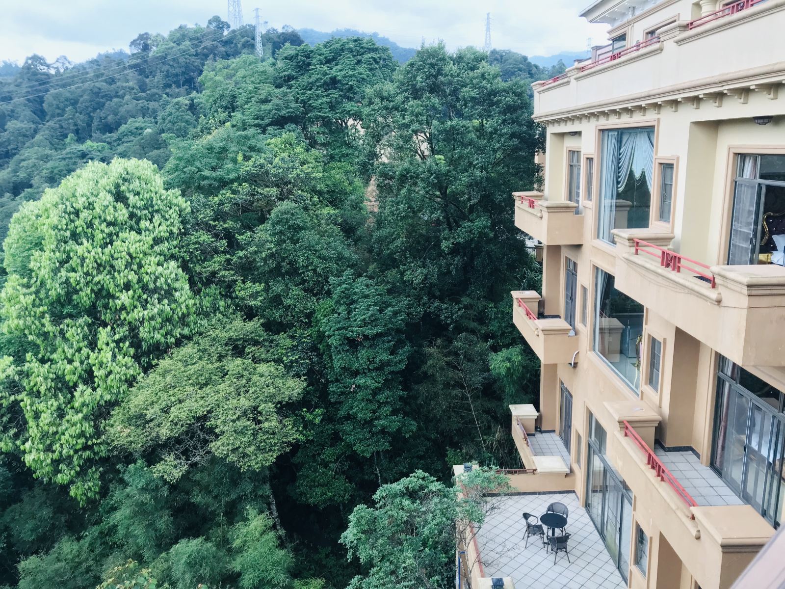 豪华12房典雅别墅