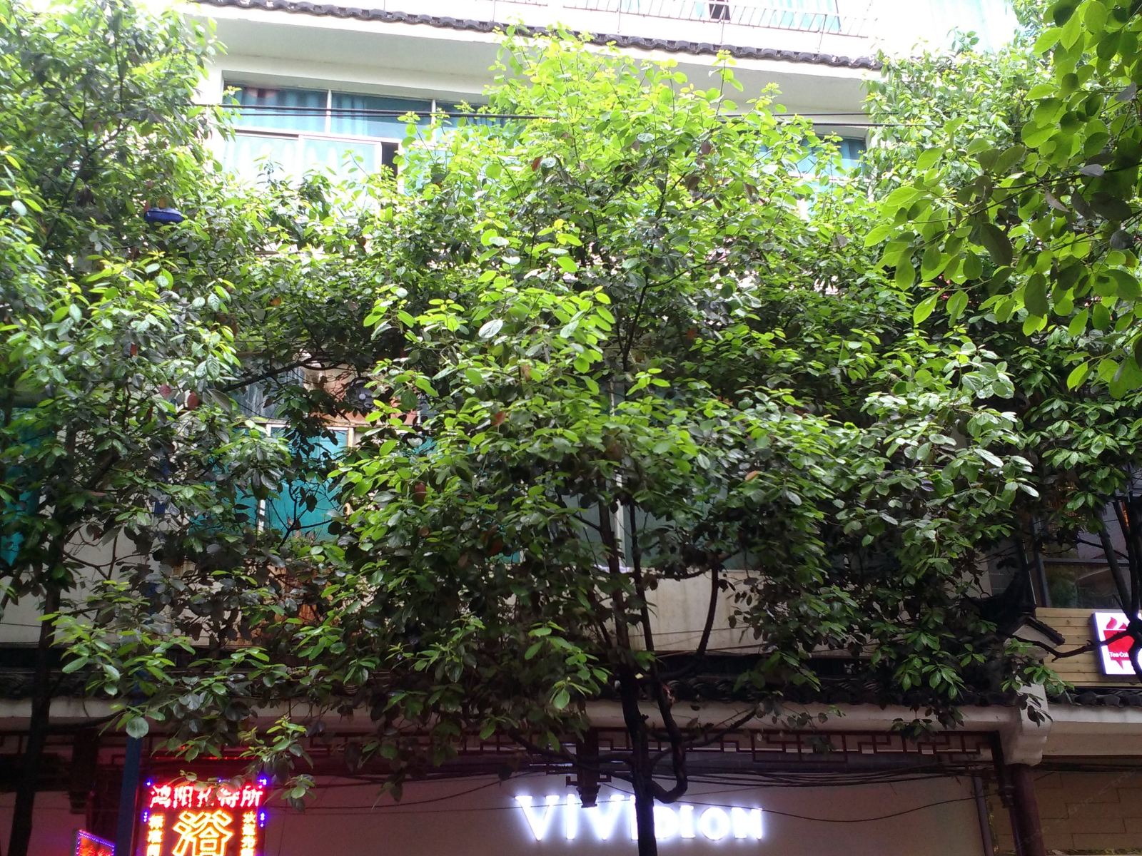 黔西鸿阳招待所