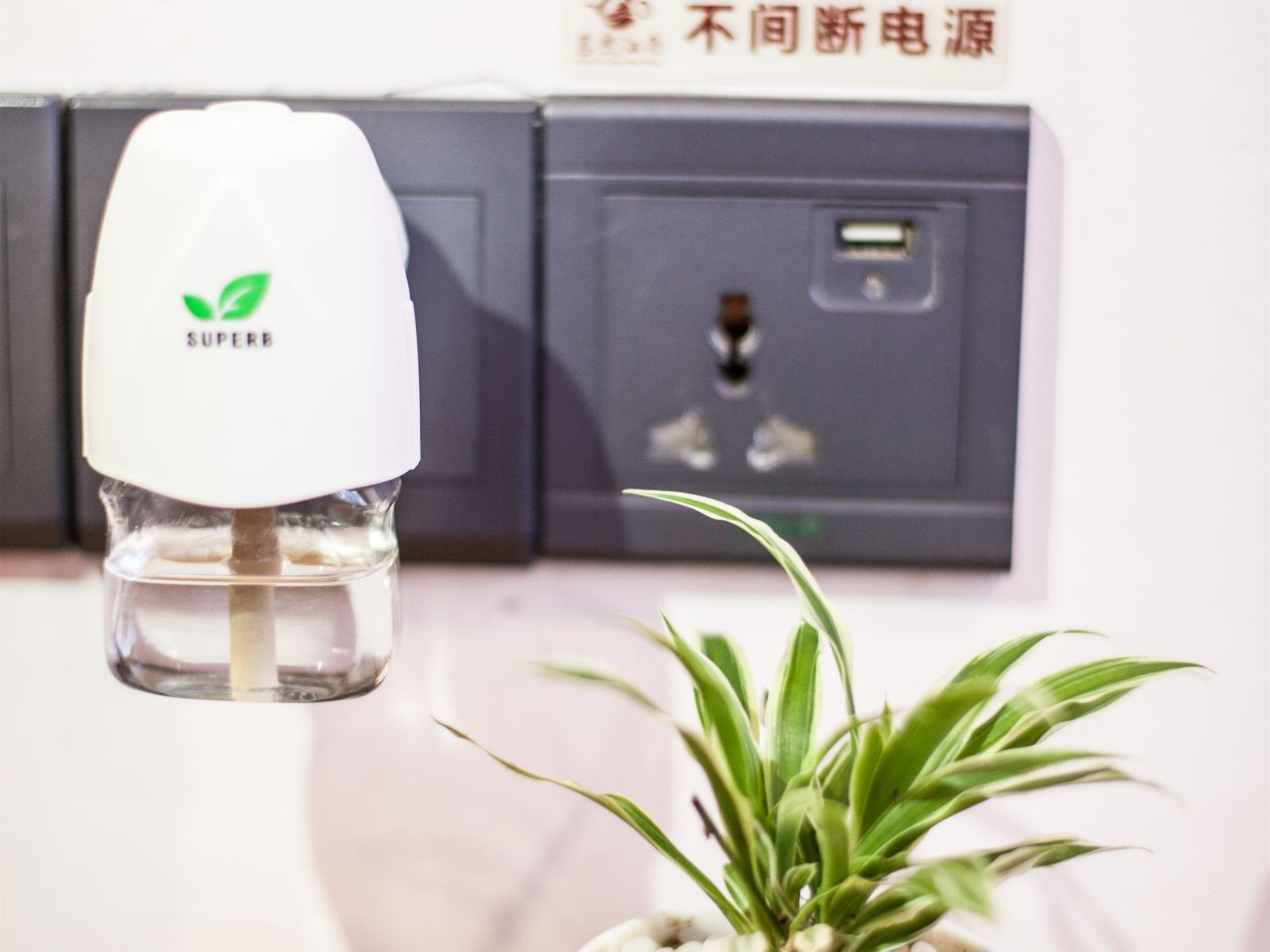 问津舒适大床房