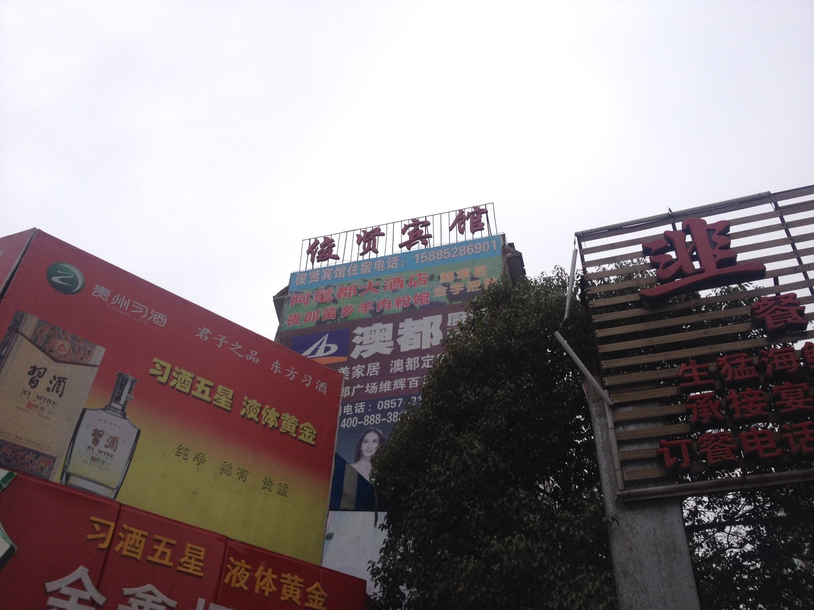 外观