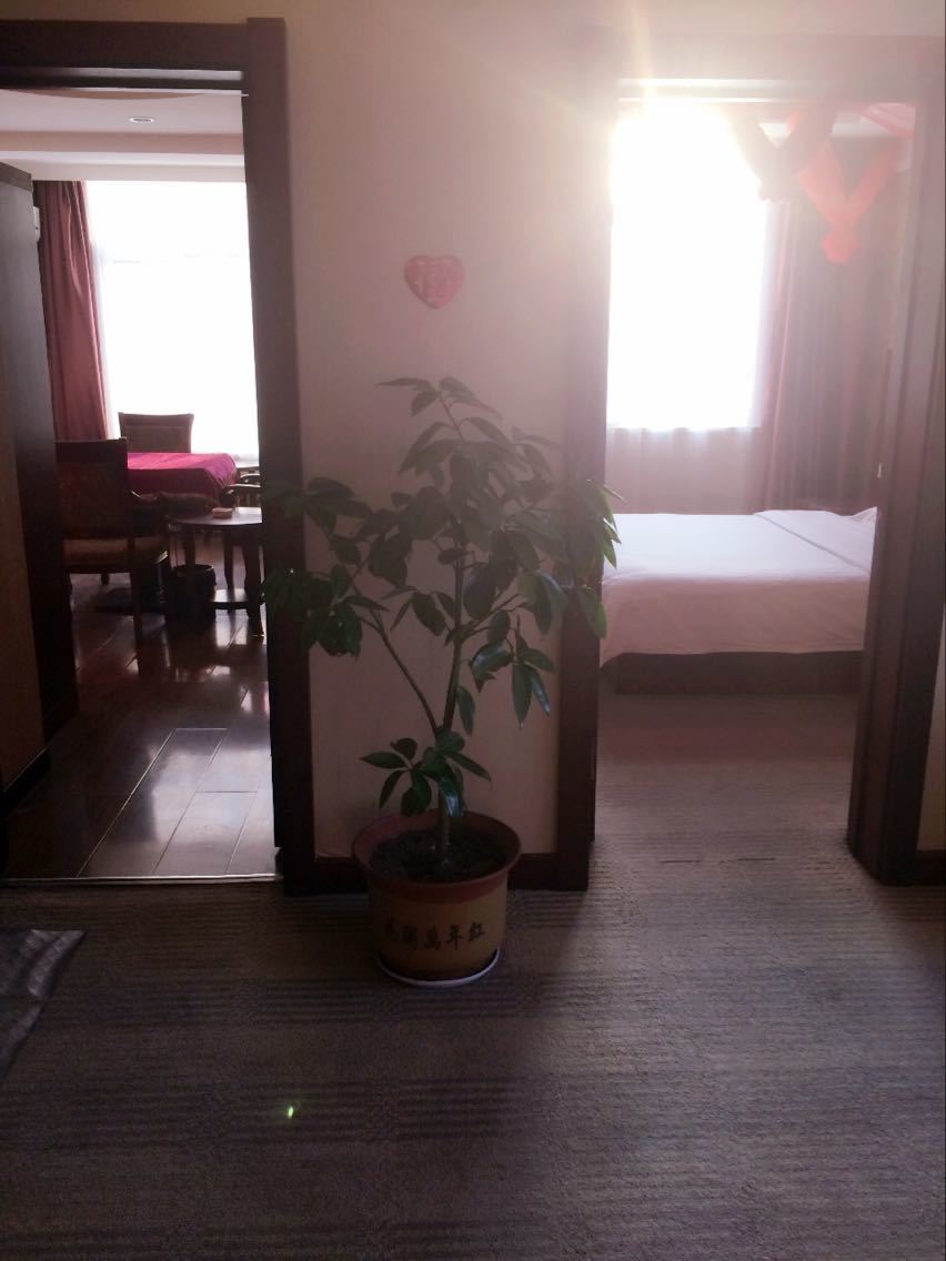 套房