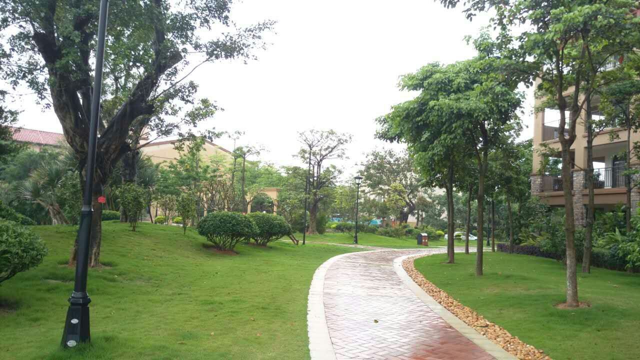 公共区域