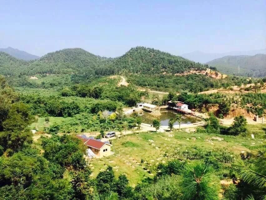 惠东悦来居山庄