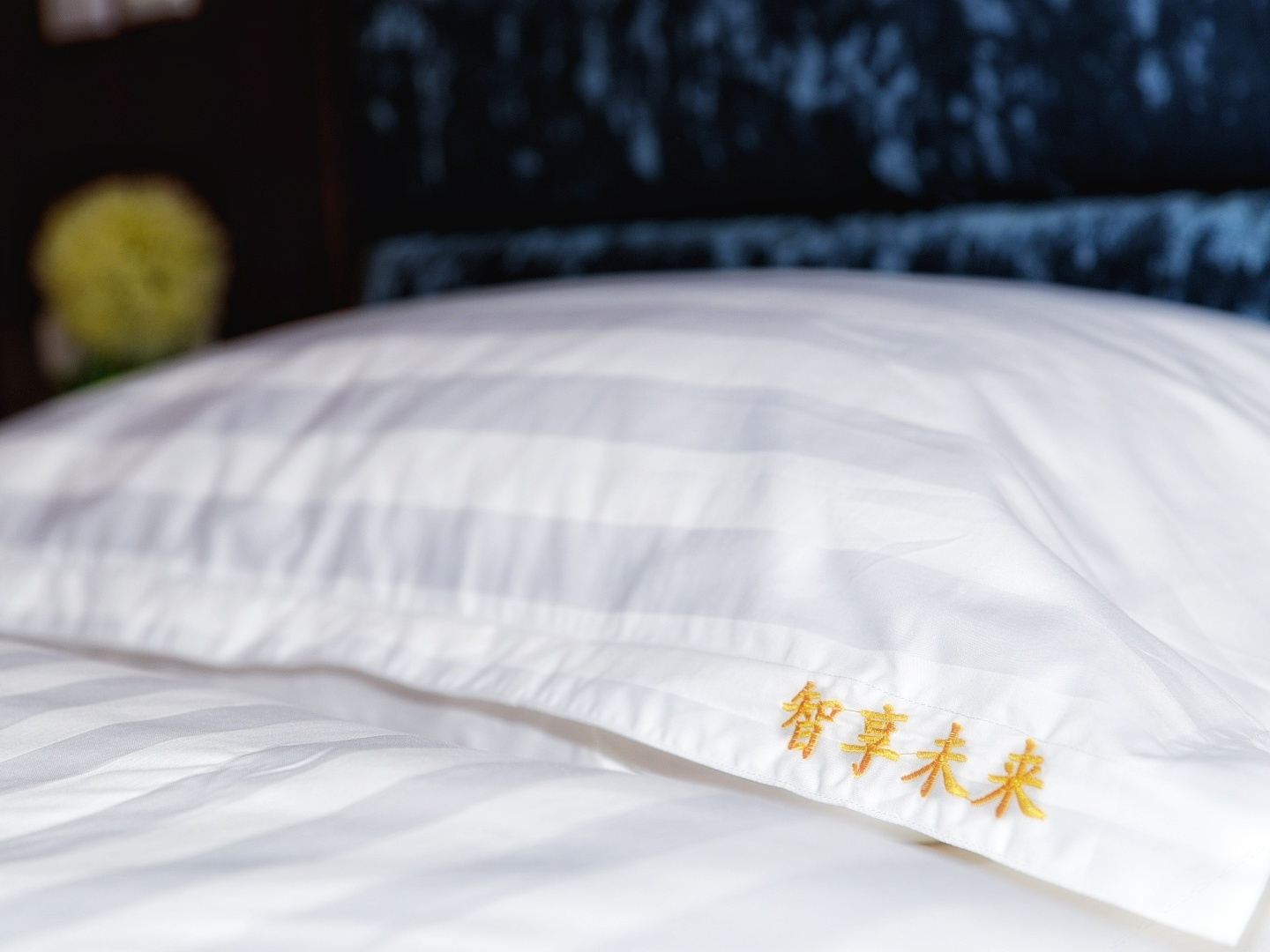 豪华标准间