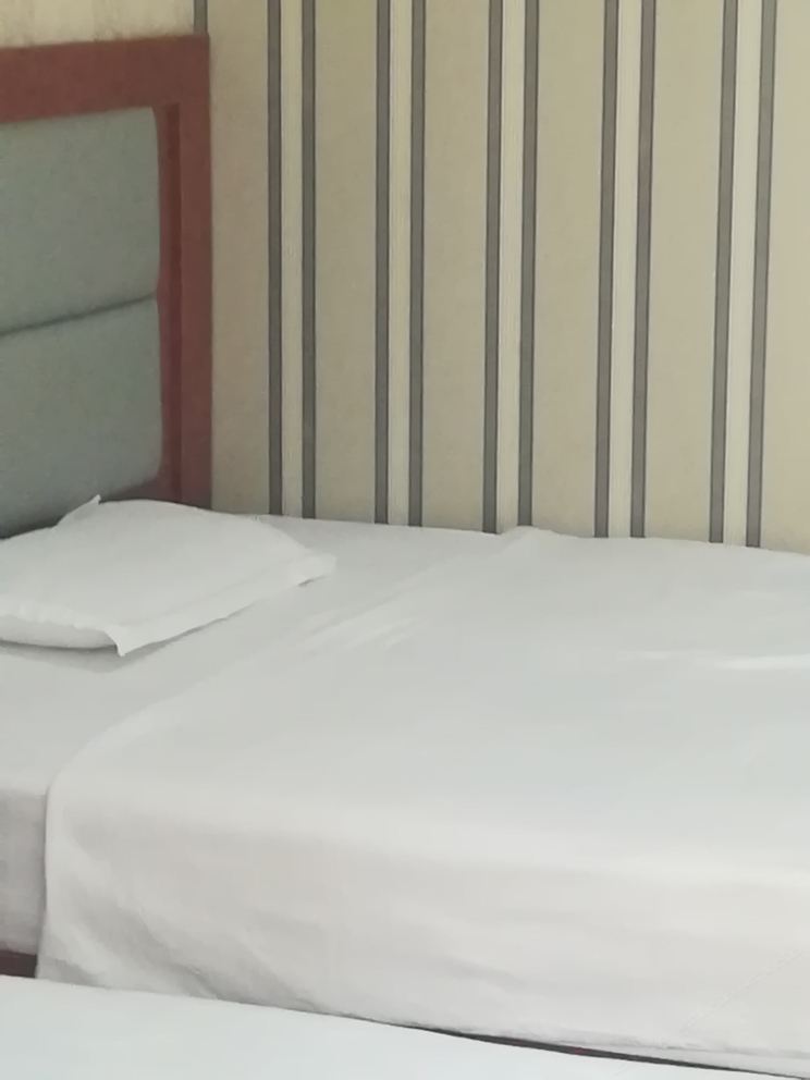 经济双人间