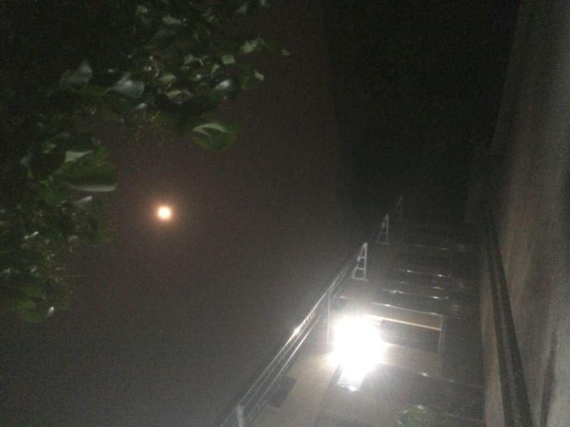 大床房